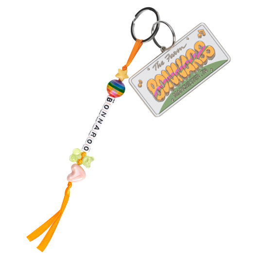 License Plate Keychain